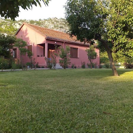 Apartman Donji Kraj Apartman Cetinje Kültér fotó