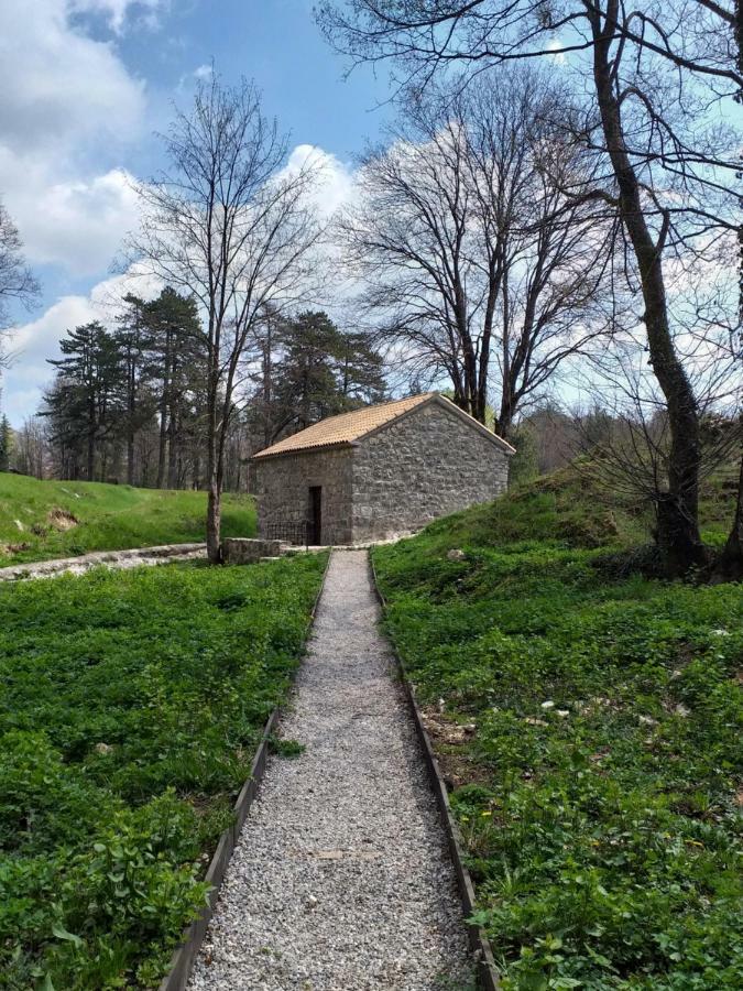 Apartman Donji Kraj Apartman Cetinje Kültér fotó
