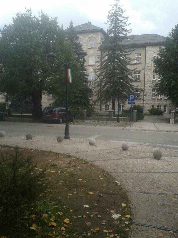 Apartman Donji Kraj Apartman Cetinje Kültér fotó