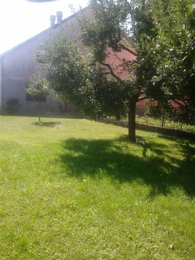 Apartman Donji Kraj Apartman Cetinje Kültér fotó